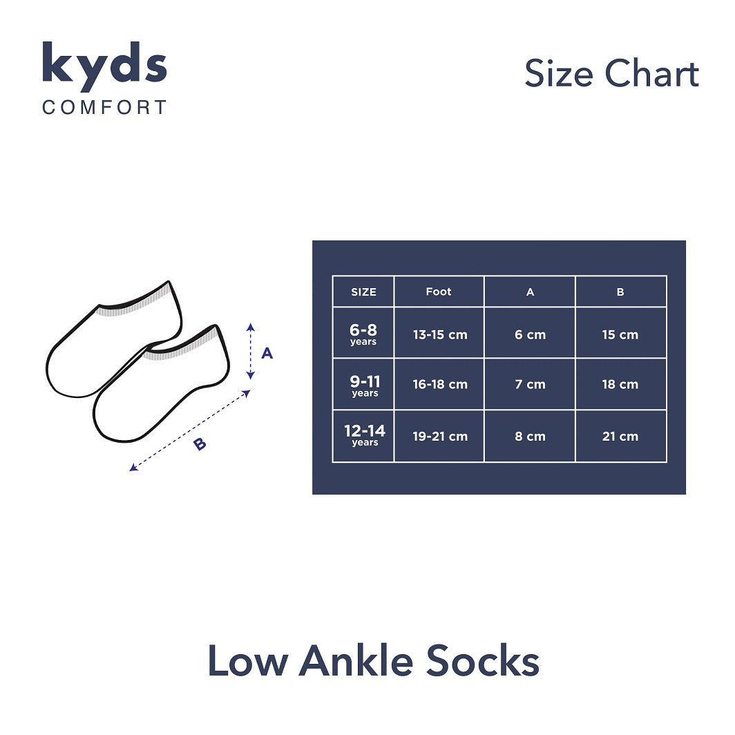 Low Ankle Socks 1.0
